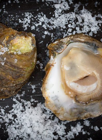 oyster-port oyster-port